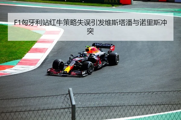 F1匈牙利站红牛策略失误引发维斯塔潘与诺里斯冲突