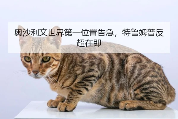 奥沙利文世界第一位置告急，特鲁姆普反超在即