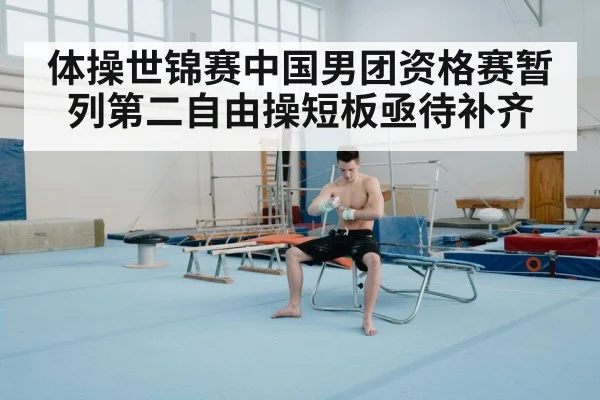 体操世锦赛中国男团资格赛暂列第二自由操短板亟待补齐