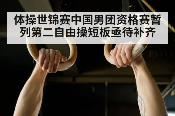 gymnastics rings