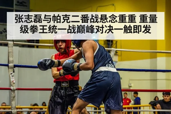 张志磊与帕克二番战悬念重重 重量级拳王统一战巅峰对决一触即发